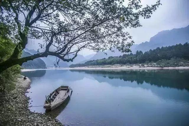 什么是沃电影业务？游戏画面