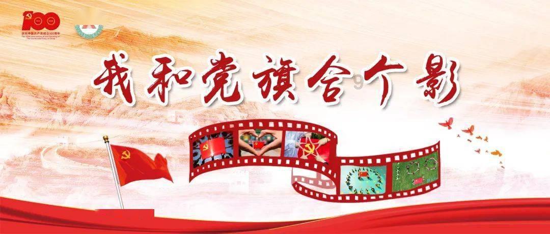 五彩鹦鹉救援